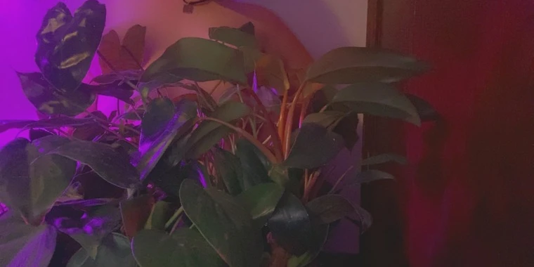 creator header picture