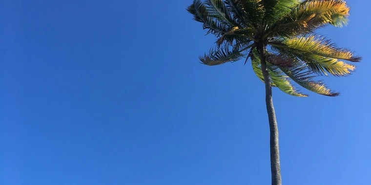 creator header picture