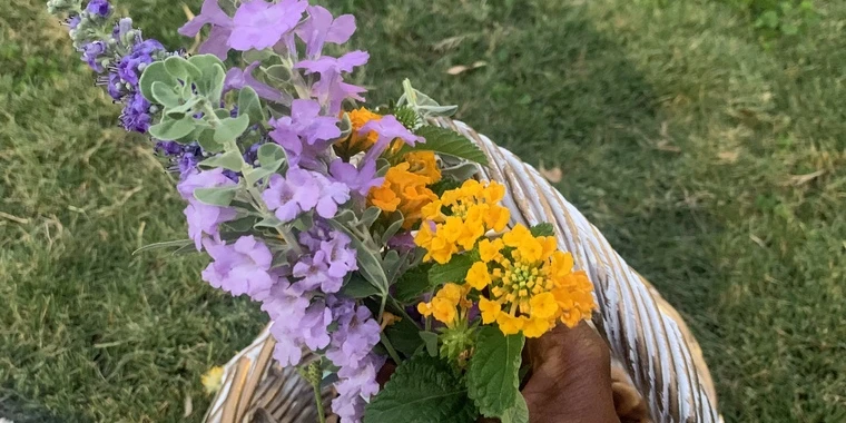 creator header picture