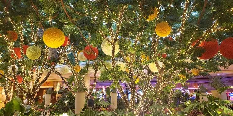 creator header picture