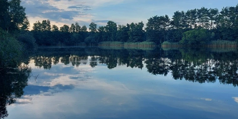 creator header picture