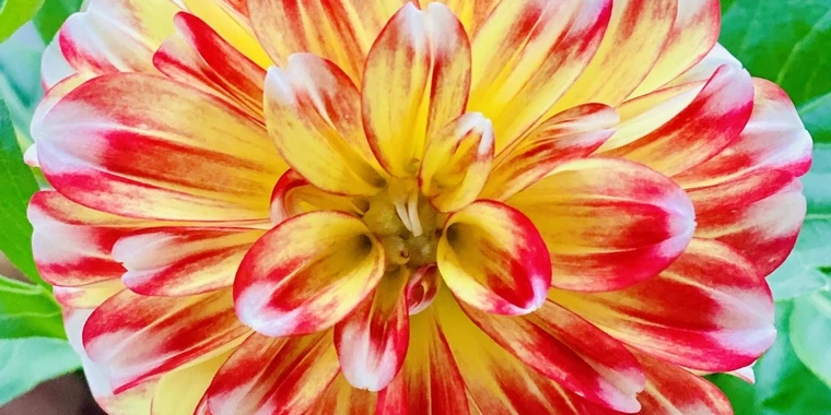 creator header picture