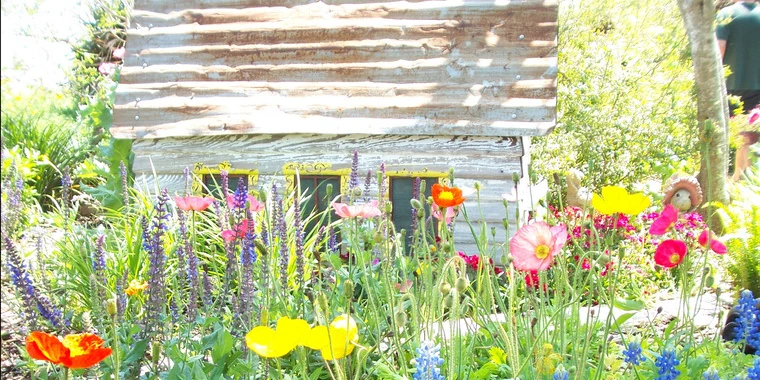 creator header picture