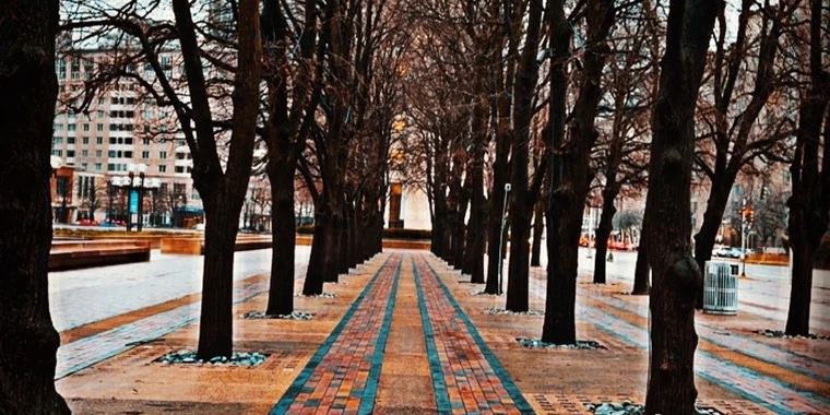 creator header picture