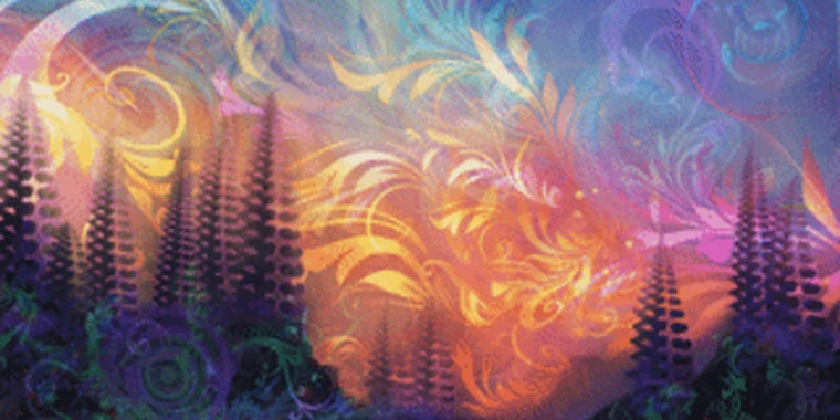 creator header picture