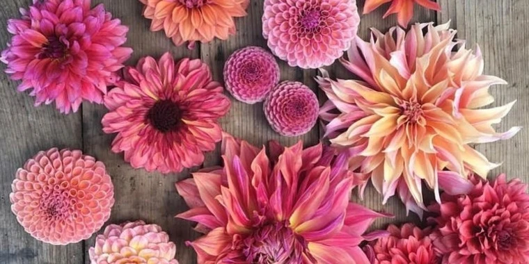 creator header picture