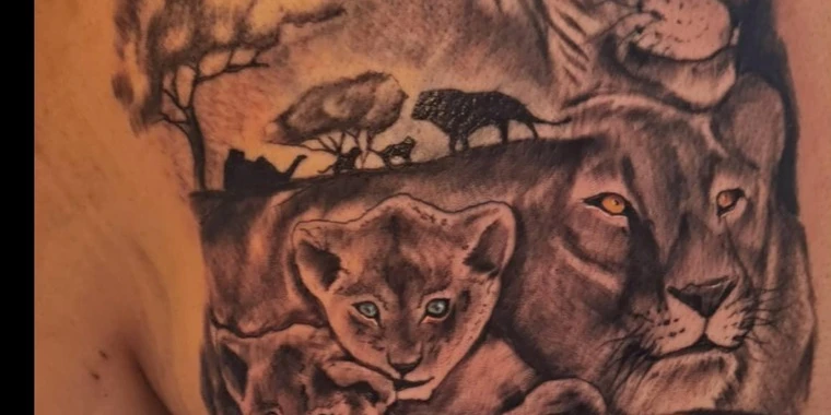 creator header picture