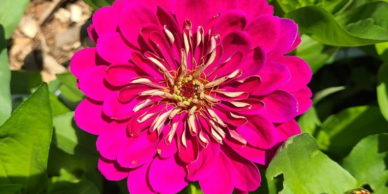 creator header picture