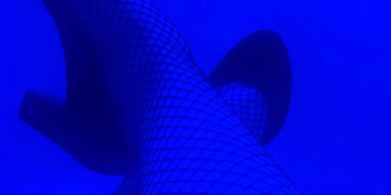 creator header picture