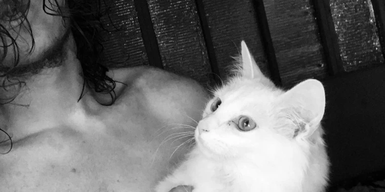 creator header picture
