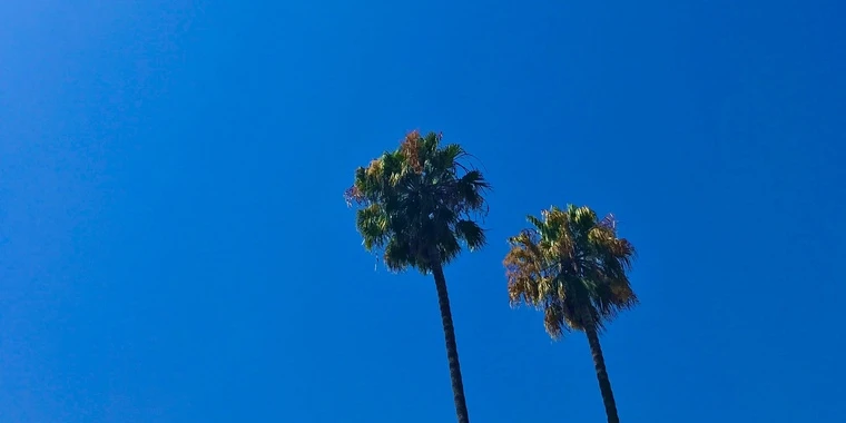 creator header picture