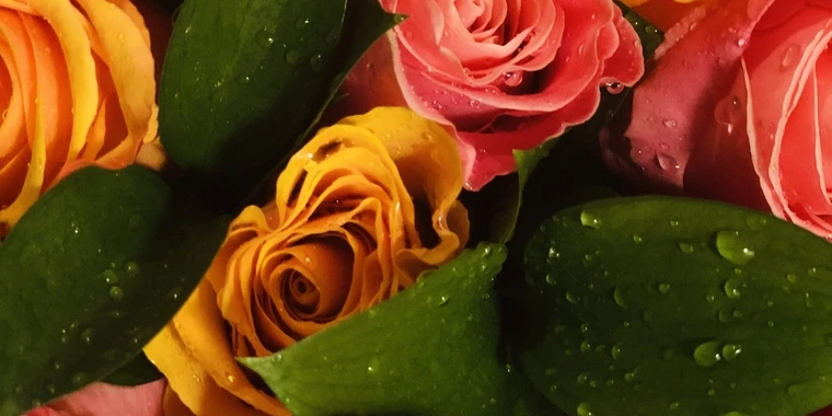 creator header picture