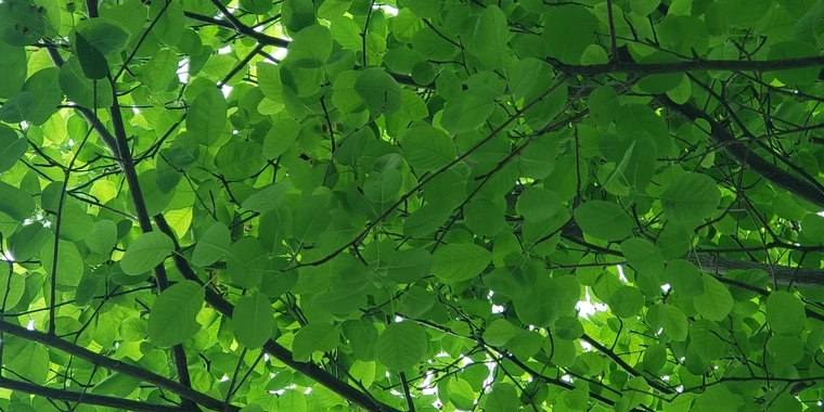 creator header picture