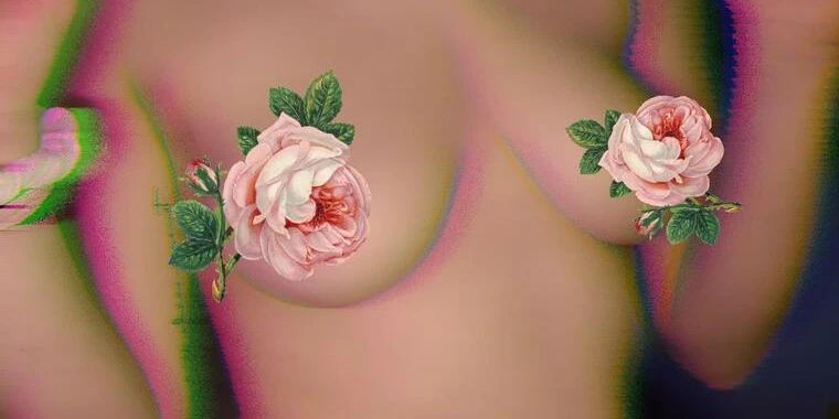 creator header picture