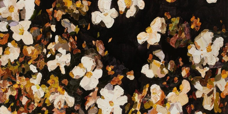 creator header picture