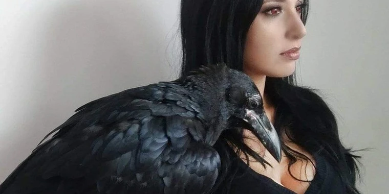 creator header picture