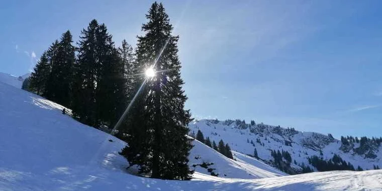 creator header picture