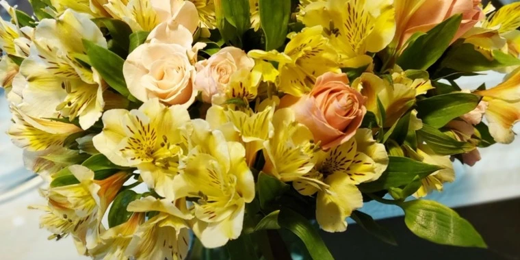 creator header picture