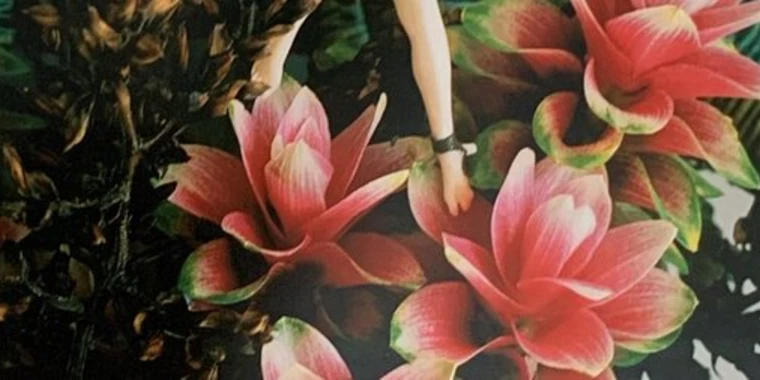 creator header picture