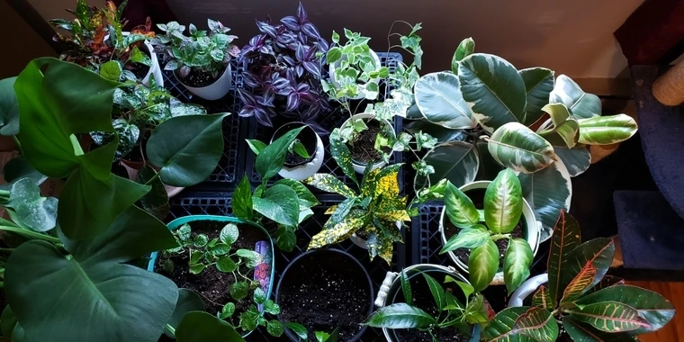 creator header picture