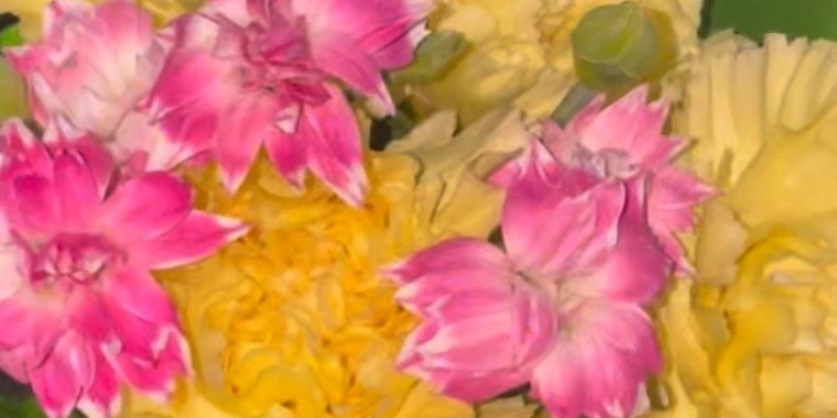 creator header picture
