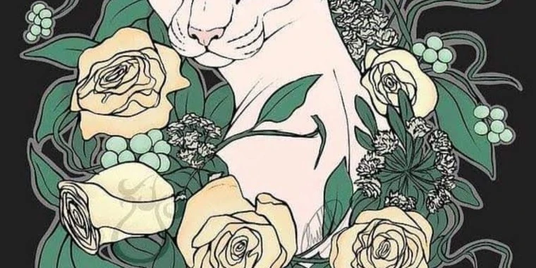 creator header picture