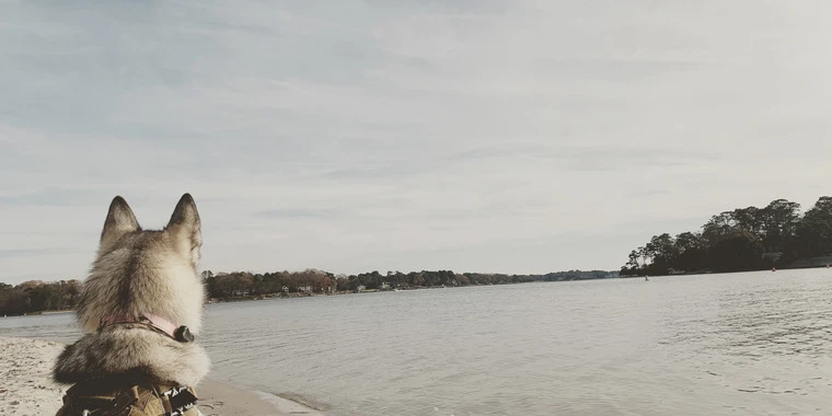 creator header picture