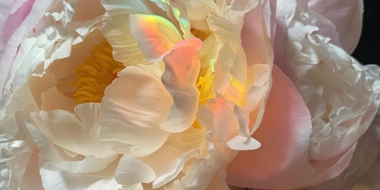 creator header picture