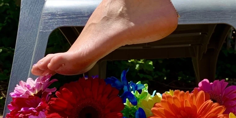 creator header picture
