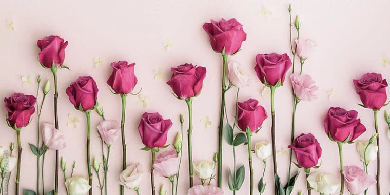 creator header picture