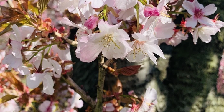 creator header picture