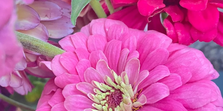 creator header picture