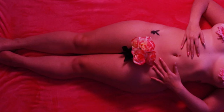 creator header picture