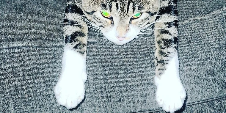 creator header picture