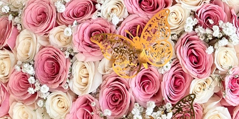 creator header picture