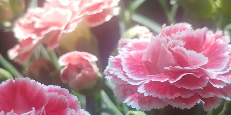creator header picture