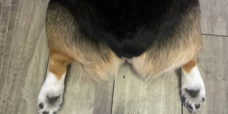 creator header picture