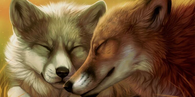 creator header picture