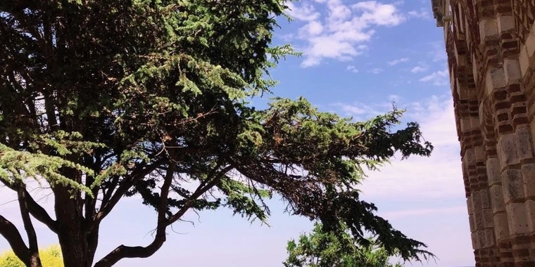 creator header picture
