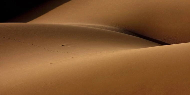 creator header picture