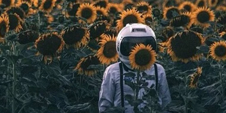creator header picture