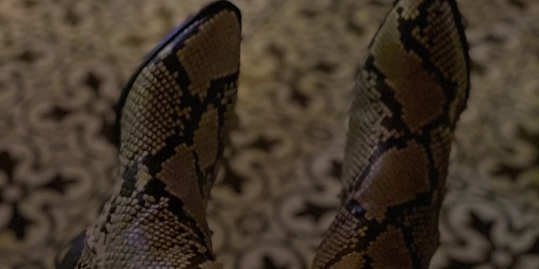 creator header picture