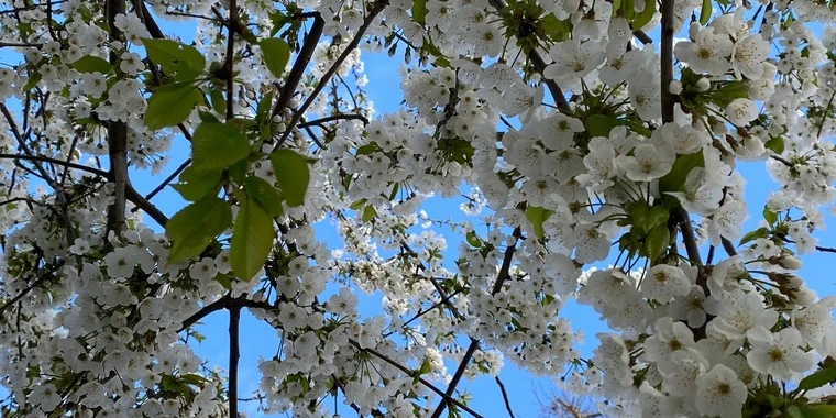 creator header picture