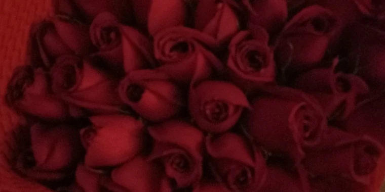 creator header picture