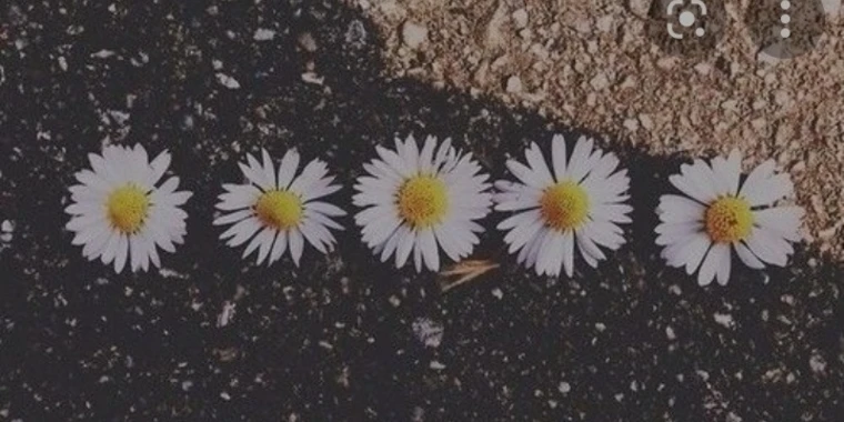 creator header picture