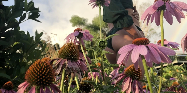 creator header picture