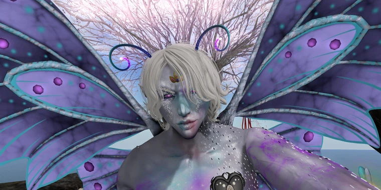 creator header picture