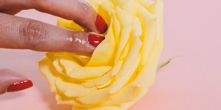 creator header picture