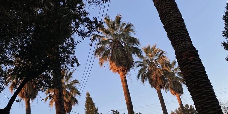 creator header picture