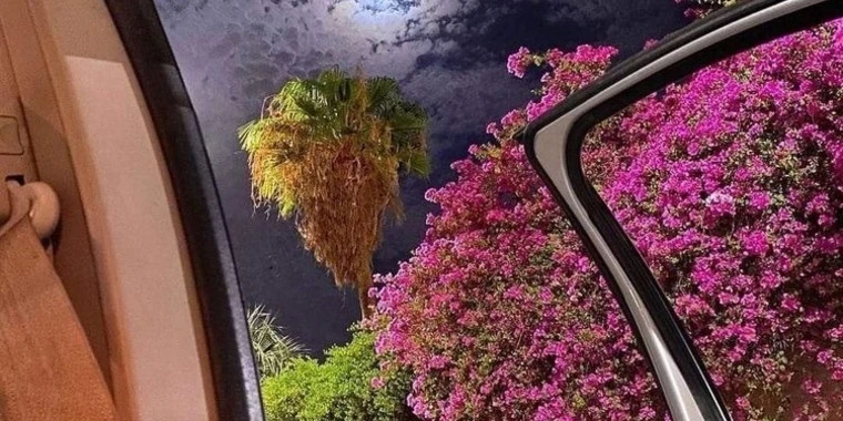 creator header picture